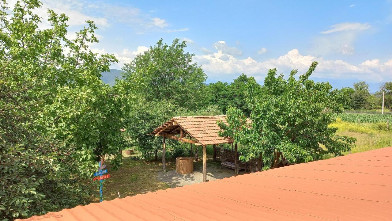 Veli Guest House • Საოჯახო Სასტუმრო Ველი Zemo Alvani Exterior foto